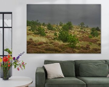 overgrown dune with dramatic skies by foto's van gijs