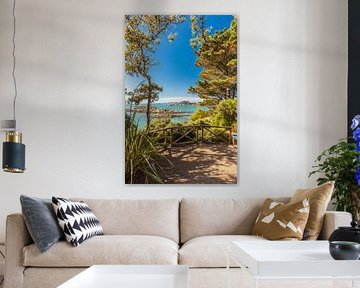 Jardin Exotique on the Ile de Batz, Brittany by Christian Müringer