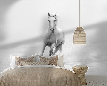 Wit paard in vrijheid | zwart-wit | paardenfotografie van Laura Dijkslag