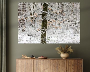 Winter im Zeister Wald, Utrecht Ridge! von Peter Haastrecht, van