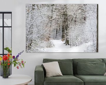 Winter in het Zeister bos, Utrechtse heuvelrug! van Peter Haastrecht, van