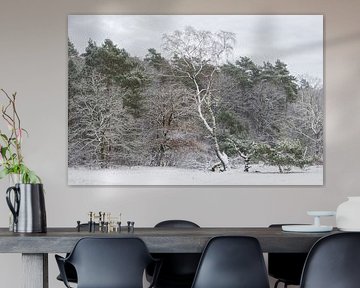 Winter in het Zeister bos, Utrechtse heuvelrug! van Peter Haastrecht, van