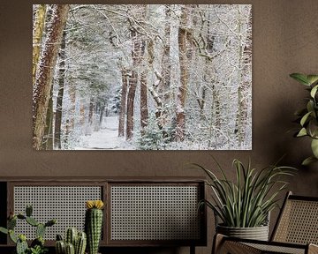 Winter im Zeister Wald, Utrecht Ridge! von Peter Haastrecht, van