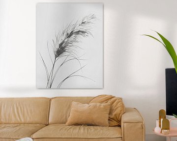 Minimal art - line drawing ornamental grass 01 by Emiel de Lange