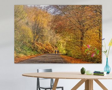 Cyclisme d'automne dans le Limbourg méridional sur John Kreukniet