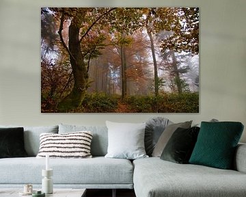 Mystical autumn forest in the Black Forest by Tanja Voigt