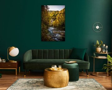 Last rays of sunshine in the Vintgar gorge by Marco Schep