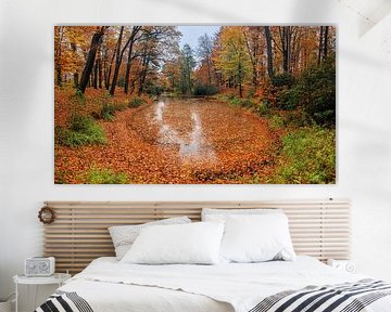 Bunter Herbst in Sachsen, Deutschland von Henk Meijer Photography