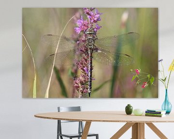 Mosaïque de tourbe sur Matthias Brix