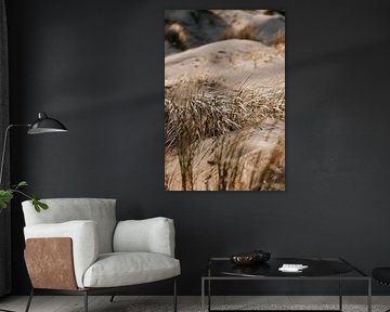 Winter beach walks #4 by Elise van Gils