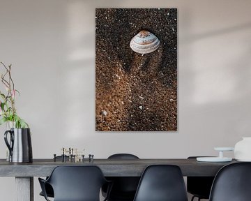 Collecting sea shells by Elise van Gils