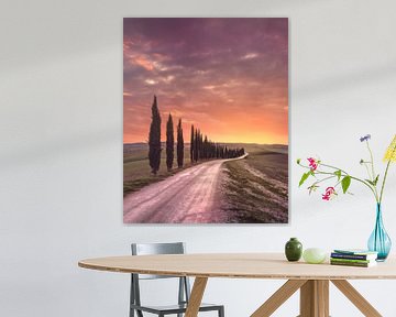 Iconic Cypress Alley Road at Sunset in Tuscany by Stefano Orazzini