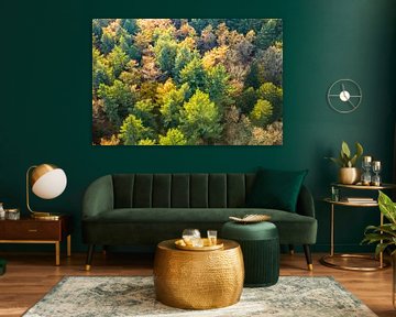 Herbstwald mit bunten Blättern von oben gesehen von Sjoerd van der Wal Fotografie