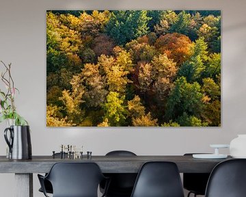 Herbstwald mit bunten Blättern von oben gesehen von Sjoerd van der Wal Fotografie