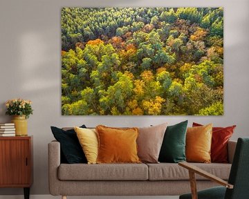 Herbstwald mit bunten Blättern von oben gesehen von Sjoerd van der Wal Fotografie