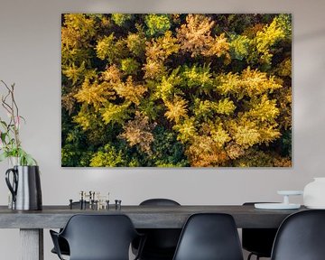 Herbstwald mit bunten Blättern von oben gesehen von Sjoerd van der Wal Fotografie