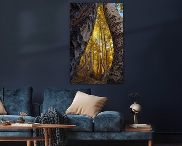 The dancing aspens VI by Martin Podt