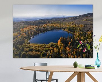 Fish lake national forest by Martin Podt