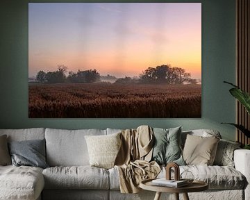 Zonsopgang over de IJssel tijdens een mooie herfstochtend van Sjoerd van der Wal Fotografie