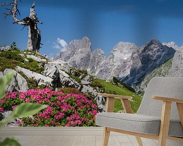 Mountain landscape "Spring in the Mountains" by Coen Weesjes