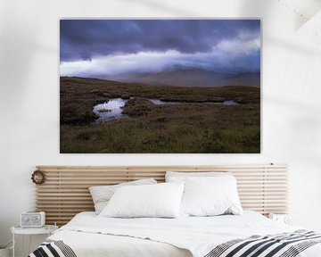 moorland Rannoch Moor by Willemijn Wolthaus