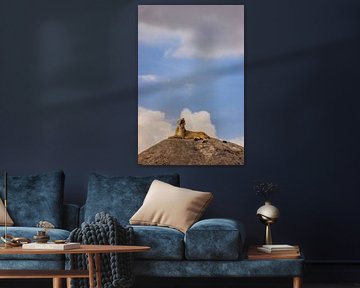 It absolutely is her pride! von Anouk Pross