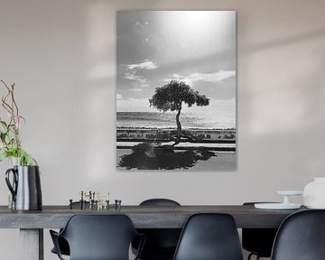 Promenade da Madalena do Mar sur Michael Schulz-Dostal