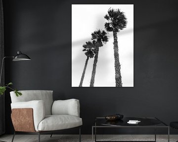 Palmtrees sur Michael Schulz-Dostal