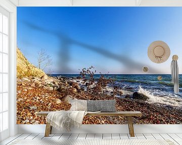 Landschap in de herfst aan de kust van de Oostzee op het eiland Rüg