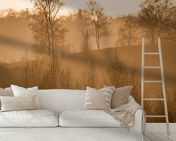 Landschaft in nebligem Glanz Herbstliche Silhouetten in goldenem Licht