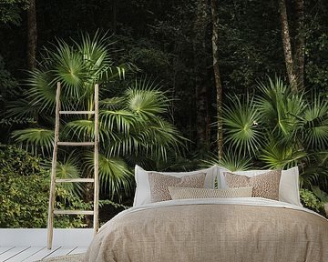 Dschungelpfad in Schattengrün Rhythmus von Palmen und Stille