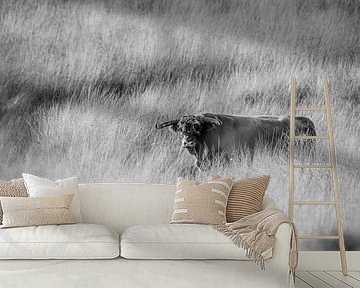 Highlander in stiller Landschaft Zeitloser Look in Schwarz und Weiß