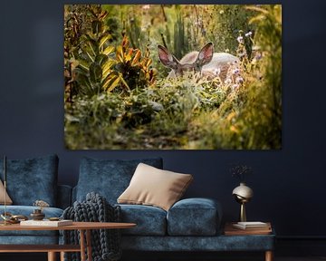 Cerf dans la tranquillité cachée Lumière d'été dans la verdure sur Femke Ketelaar