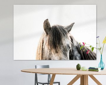 Paard in Stilte Minimalistisch Portret met Zachte Lichtval van Femke Ketelaar
