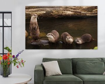 verspielte Otter von sofie van den Nouland