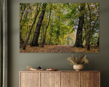 Herfst in het Westerpark van Ellen Weidenaar