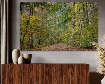 Het bospad van Ellen Weidenaar