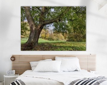 Het doorkijkje van Ellen Weidenaar