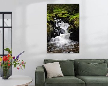 ruisseau coulant sur sofie van den Nouland