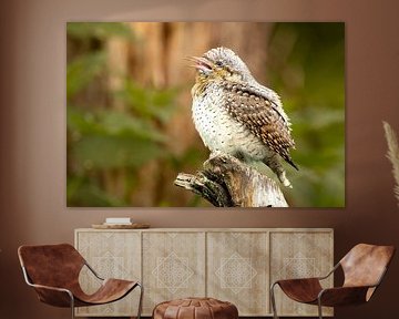 Turnbull von Arjen Nijland