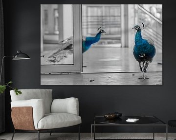 Des signes erronés au bon endroit sur Rajesh Narayanan