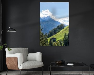 Alpine pasture with hay barn, forest and mountains by Torsten Krüger