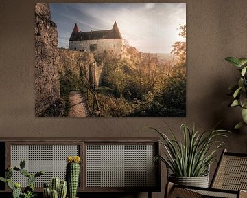 Burghausen castle with Wöhrseesteig trail by Tobias Wartenberg