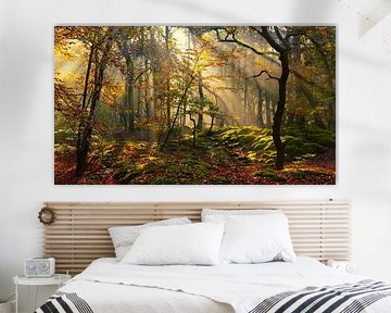 Herfst in gouden bos van Ger van den Broek