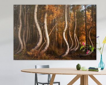 The curved aspens II by Martin Podt