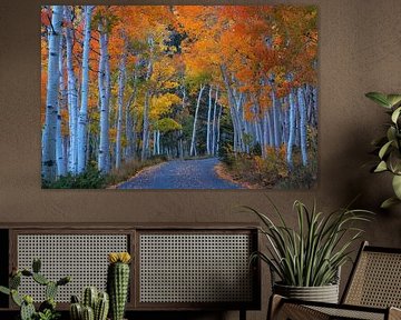 Aspens road by Martin Podt