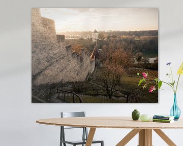 Kasteel Burghausen met kruittoren van Tobias Wartenberg