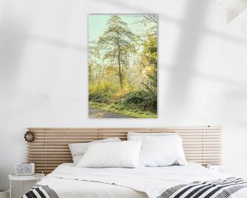 Zonneharpen in het Zuigerplasbos. van Alie Ekkelenkamp