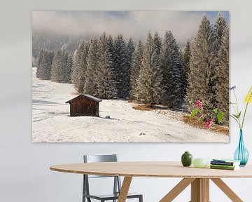 Hölzerne Bergscheune im Winterlicht - Rast unter den Tannen