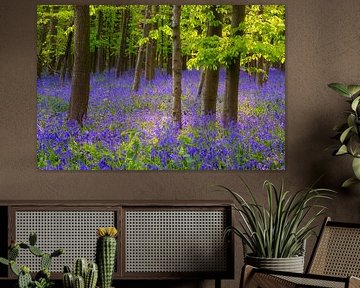 Lente in het blauwe bos van Daniela Beyer